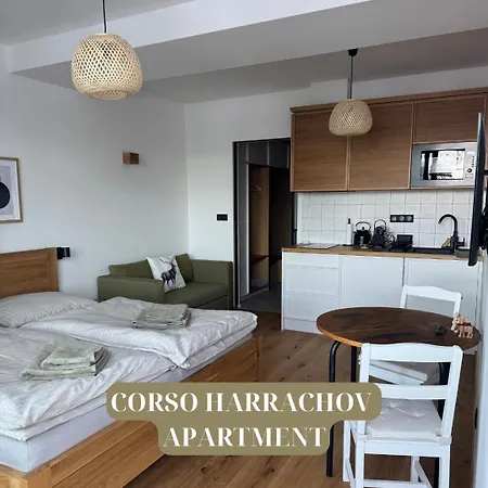 Apartment Corso Harrachov
