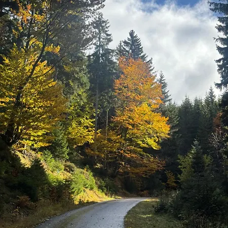 Corso * Harrachov